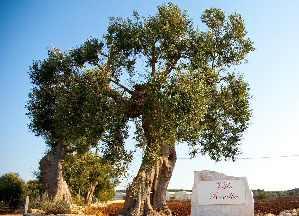 Villa Rosalba Polignano a Mare Luaran gambar